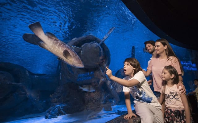 Antalya Aquarium & Wax Museum Tour