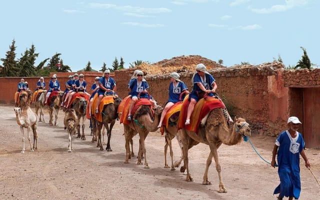 Marrakech Sunset Camel Ride