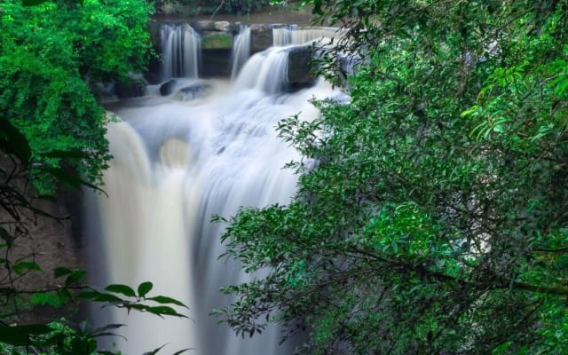 Khao Yai National Park Full-Day Tour from Bangkok