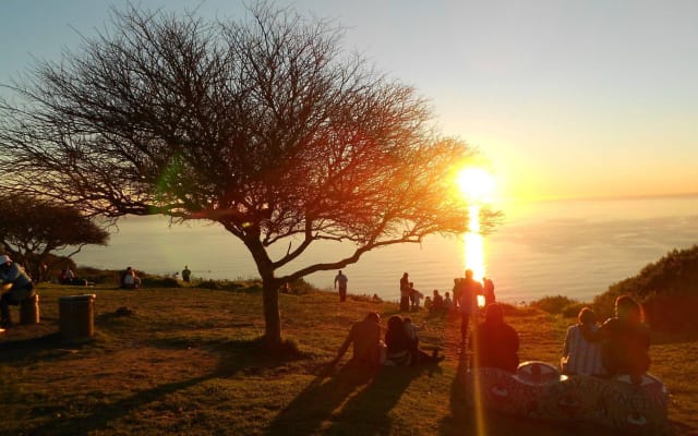 Cape Town Summer Sunset Bus Tour