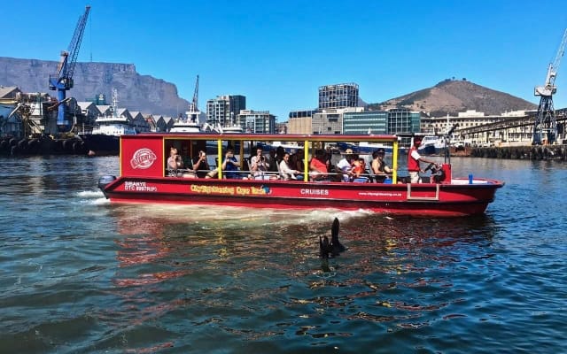 Cape Town Harbour Cruise Adventure