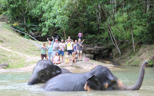 Phuket Elephant Sanctuary Observation and Cooking Class