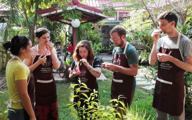 Authentic Thai Cooking Experience in Chiang Mai