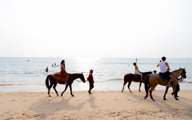 Phuket Beach Horseback Riding Adventure