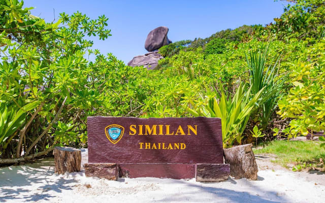 Similan Islands Snorkeling Adventure