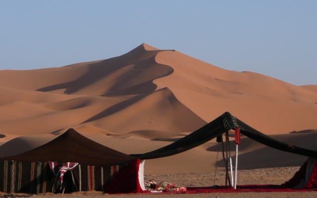 Doha Desert Safari Adventure
