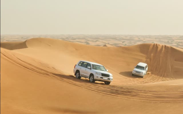 Thrilling 4-Hour Dune Bashing & Camel Ride Safari to Inland Sea