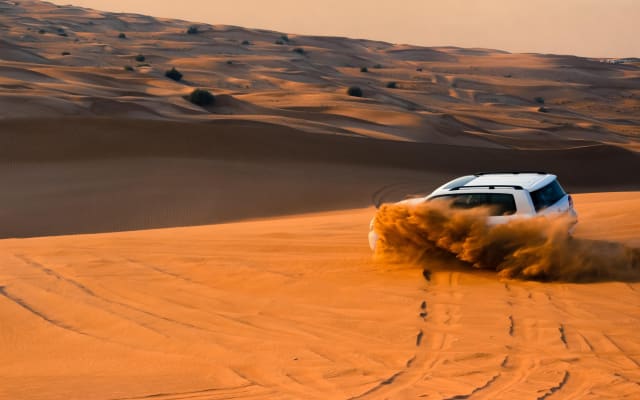 Qatar Desert Safari Adventure