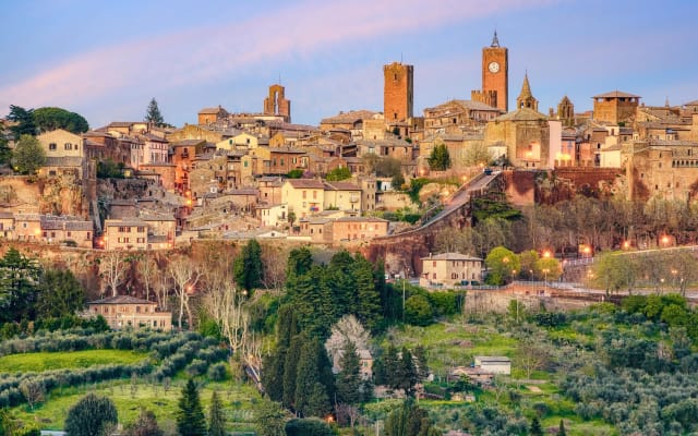 Orvieto City Highlights Private Guided Tour