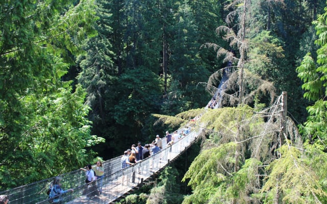 Grouse Mountain & Capilano Suspension Bridge Tour