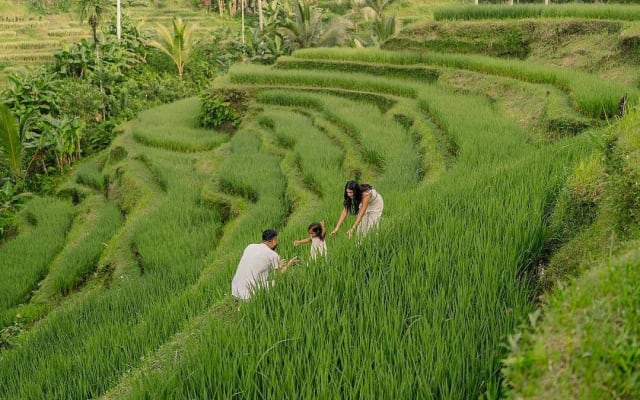 Private Customized Ubud Day Tour