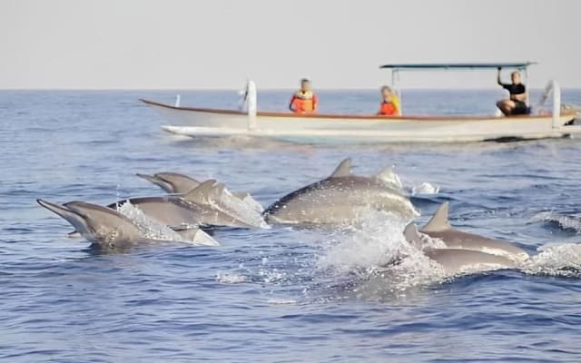 Lovina Dolphin Tour with Git Git Waterfall and Twin Lakes