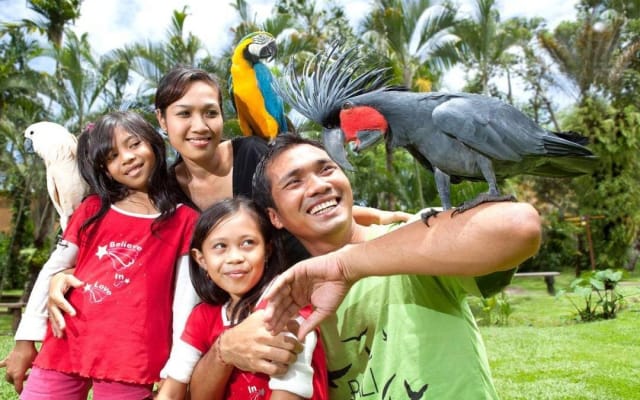 Bali Bird Park Admission with Transfer