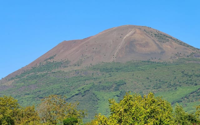 Mt. Vesuvius Half-Day Trip from Naples