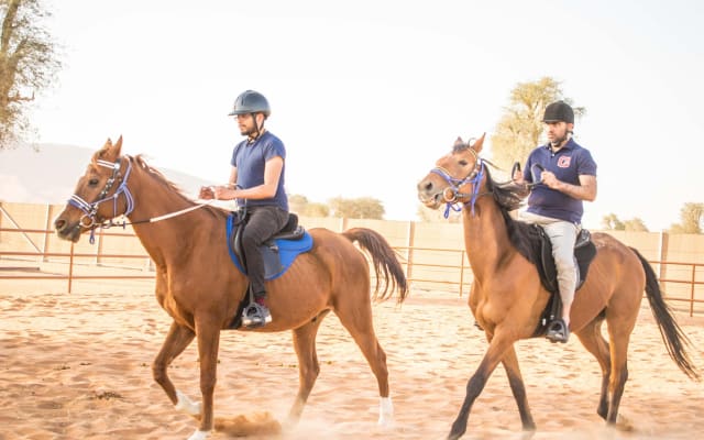 Private 4x4 Desert Safari with Horseback Riding