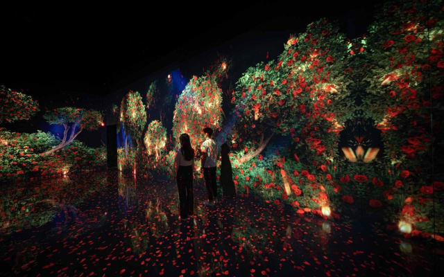 Arte Museum Dubai Admission Pass