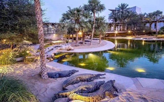 Dubai Crocodile Park Admission Ticket