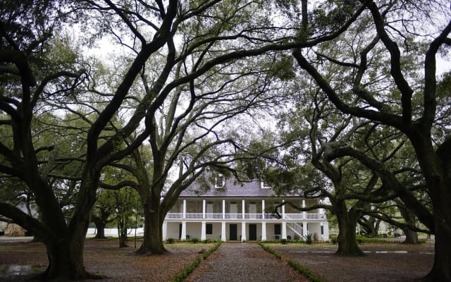 Whitney Plantation Tour with Transportation