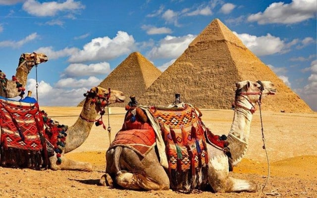 Giza Pyramids & Sound Show Tour
