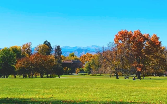 Denver City Highlights Private Tour
