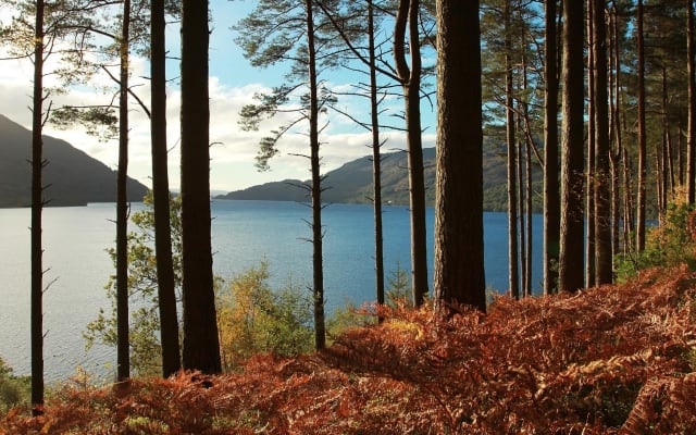 Loch Lomond & Whisky Tour from Glasgow