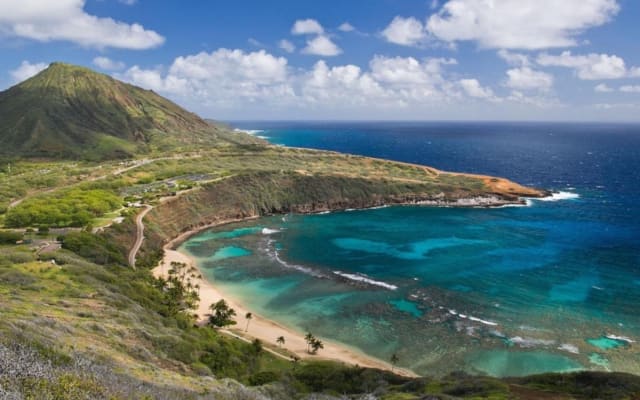 North Shore & Waimea Waterfall Tour