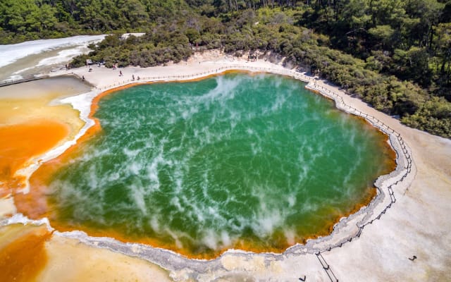 Hobbiton & Rotorua Small-Group Tour