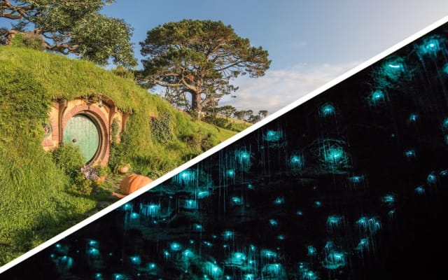 Auckland to Rotorua, Hobbiton and Waitomo 1-Way Tour