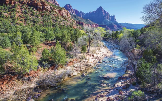 Zion National Park Day Trip from Las Vegas