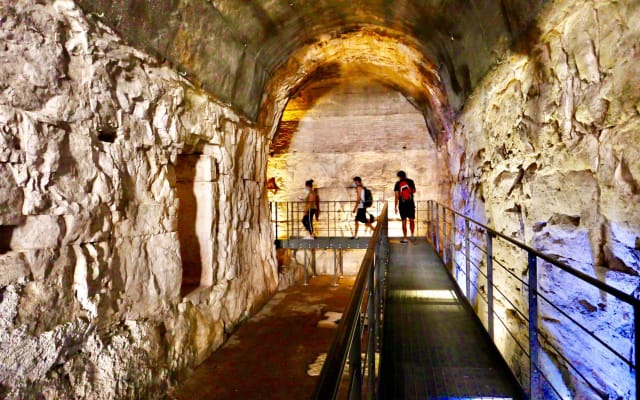 Colosseum Underground & Forum Tour