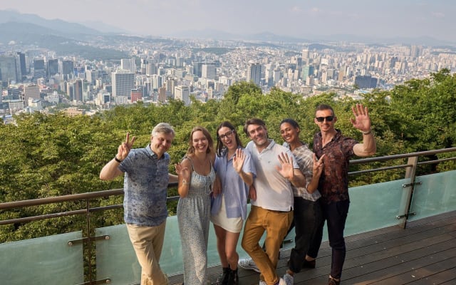Seoul City Private Tour with DMZ and Nami Island Options
