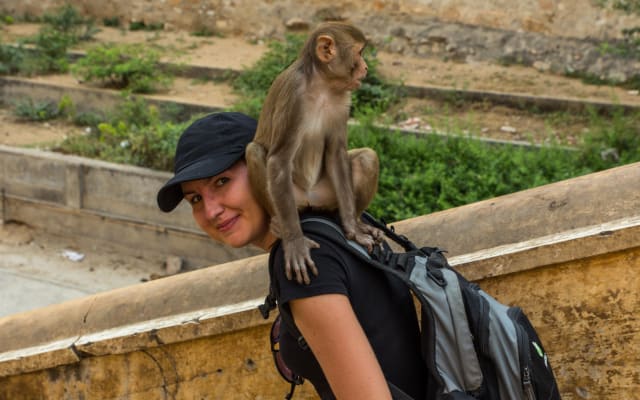 Jaipur Temples and Spiritual Sites Private Tour
