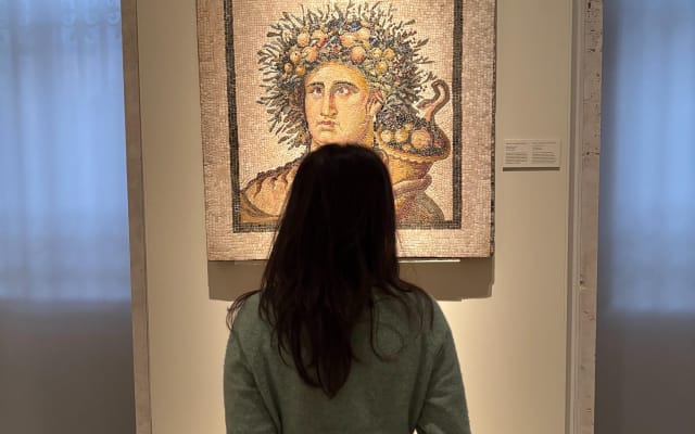 Madrid Archaeological Museum Tour