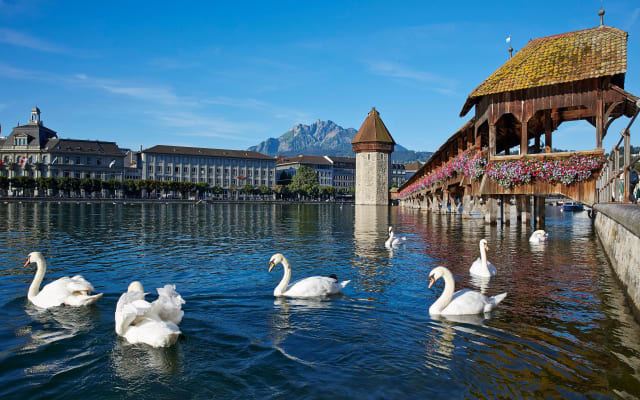 Lucerne Day Trip from Zurich with Lake Cruise