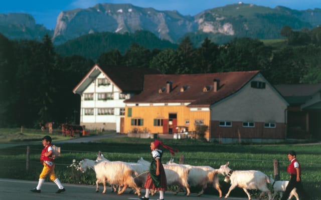 Swiss Cheese, Chocolates and Mountains Tour