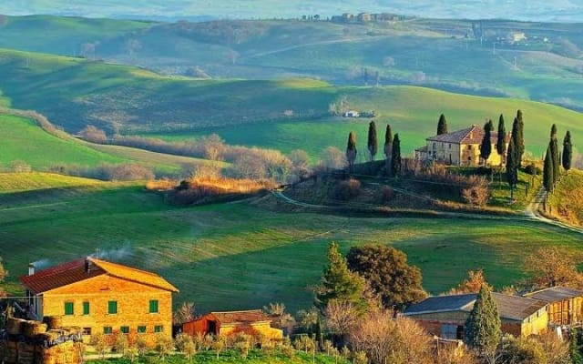 Tuscan Countryside Wine Tasting Tour