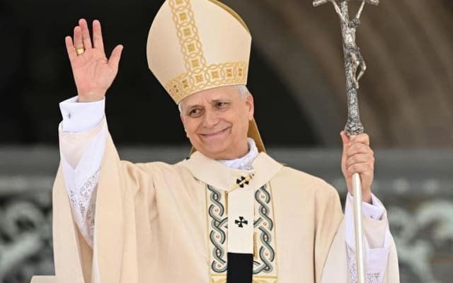Papal Audience Experience in Rome