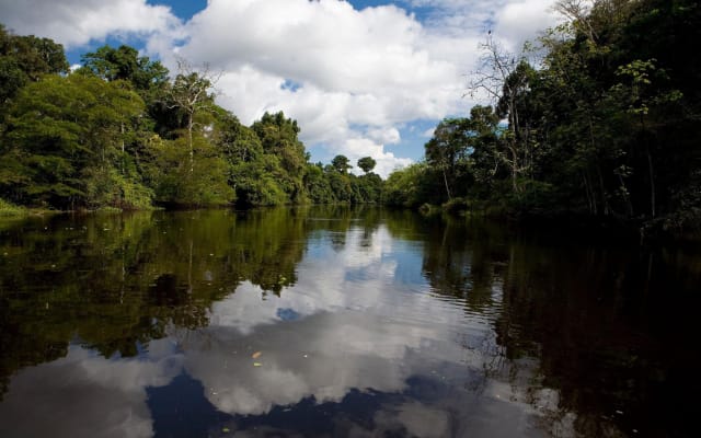 Iquitos Cruise Port to Hotel Transfer
