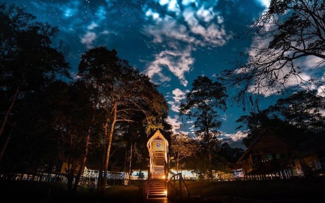 3-Day Iquitos Jungle Adventure at Muyuna Lodge
