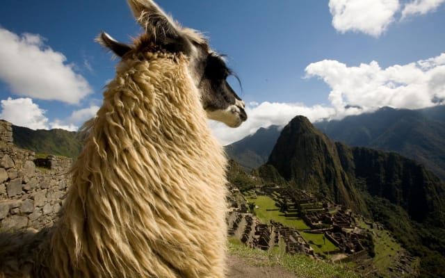 Machu Picchu Day Trip with First-Class Train