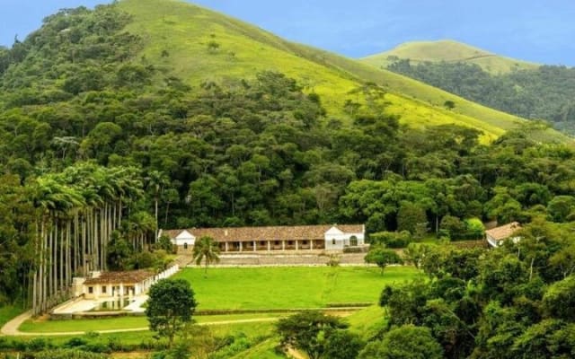 Rural Coffee Farm Tour with Meals