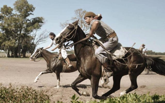 Tigre Delta & Gaucho Experience