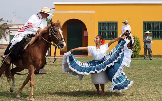 Peruvian Paso Horse & Marinera Show with Lunch
