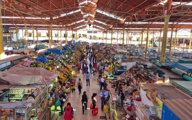 San Camilo Market Guided Tour