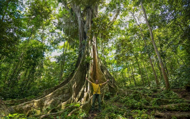 3-Day Amazon Jungle Lodge Adventure
