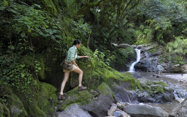 Yungas and El Rey National Park 4x4 Full Day Tour from Salta