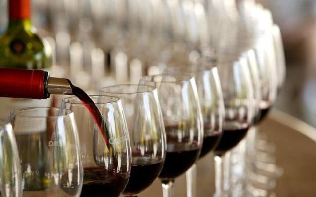 Maipo Valley Wine Tour from Santiago