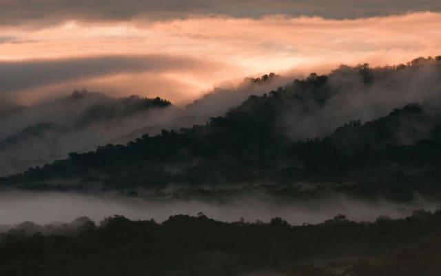 Bellavista Cloud Forest Lodge 2-Day Tour
