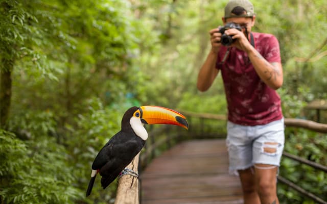 Foz do Iguaçu Bird Park Tour
