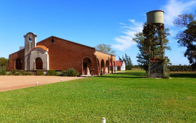 Montevideo Wine Cellar Tour with Lunch